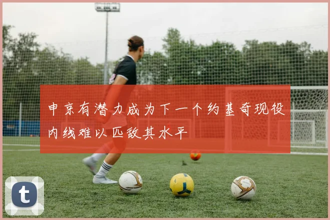 申京有潜力成为下一个约基奇现役内线难以匹敌其水平