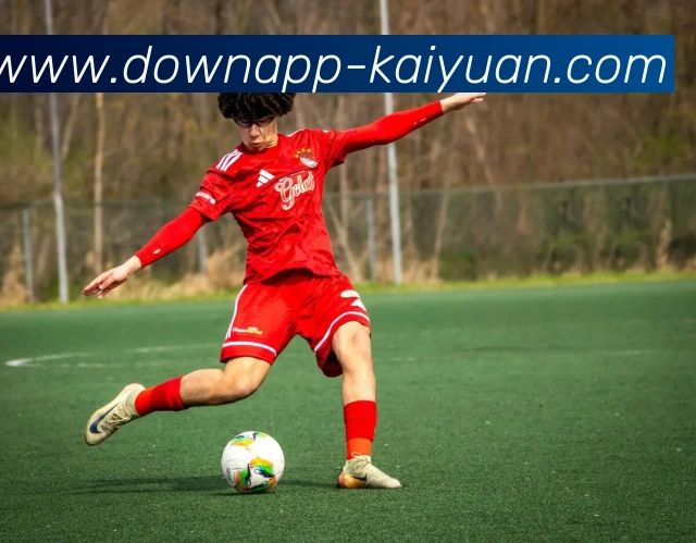 开元体育平台生态图