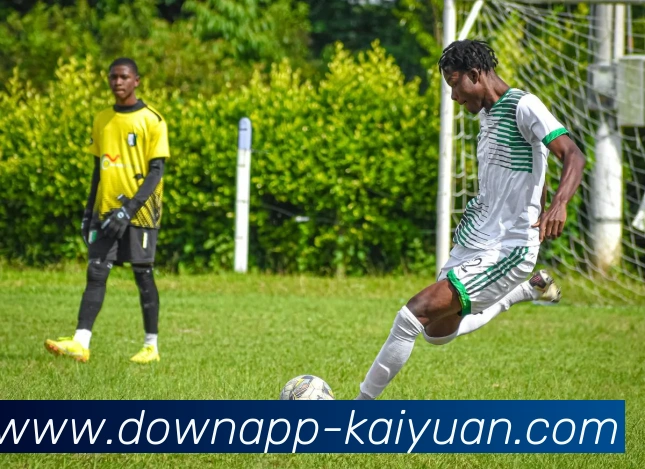 数据防护可视化