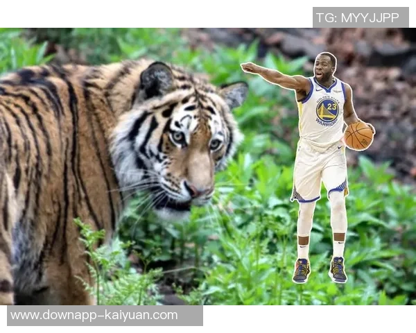 阿特金森赞韦德顶级防守能力称其不仅仅是命中率的保障 阿特金森赞韦德顶级防守能力称其不仅仅是命中率的保障